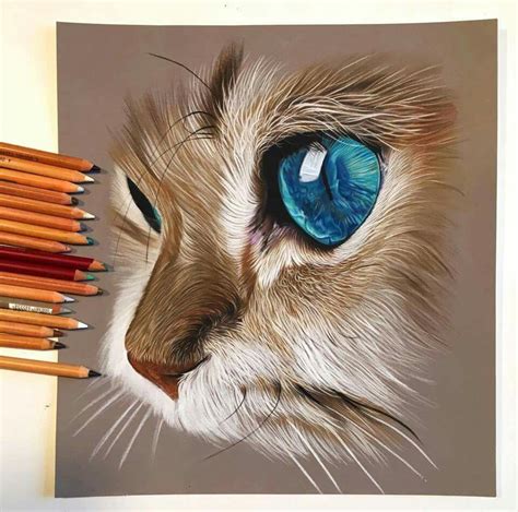 dibujos a lapiz de animales|dibujo de animales realistas.